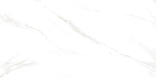 CARRARA RANDOM 278 GLOSSY (60x120)