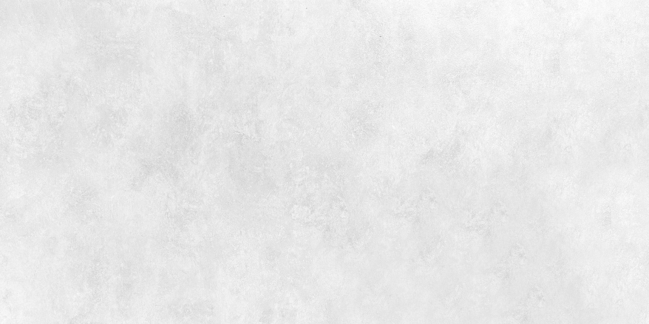 DONYA LIGHT GRAY MATTE (60x120)