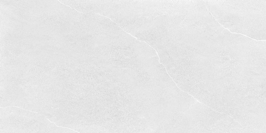 SHINE LIGHT GRAY MATTE (60x120)