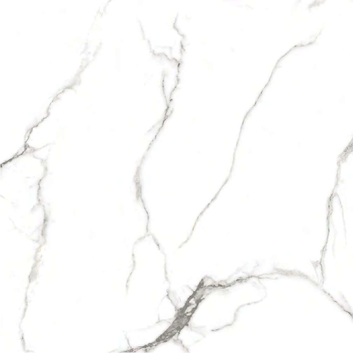 VHF600828 (60x60)
