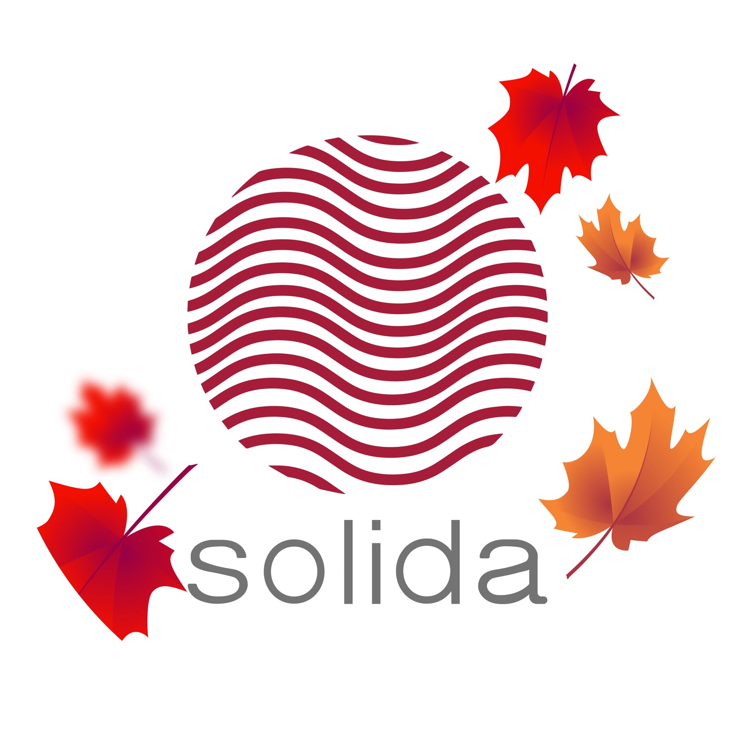 Kampaniya Məhsulları