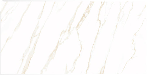 CALACATTA GOLD (60x120)