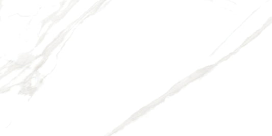 JACOBA SATVARIO 17121 MATT CARVING (60x120)
