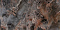 LEONA (60x120)