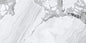 OZONE LIGHT (60x120)