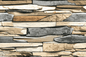 TIMON BRONZE (30x45)