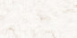 PEARL WHITE 224 GLOSSY (60x120)