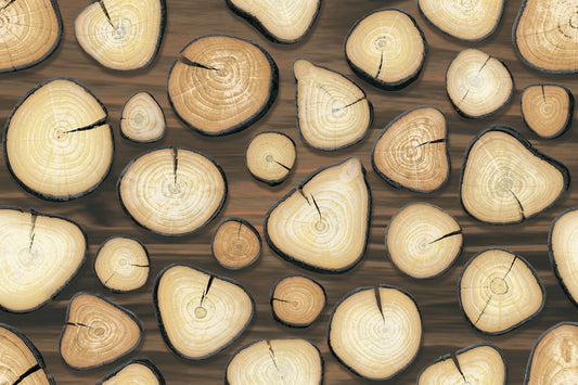 TULLIA BROWN (30x45)