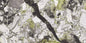 EMERLAND JADE (80x160)