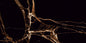 INFINIA GOLD 2978 HIGH GLOSSY (60x120)