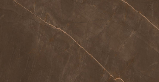 NEPTUNE BROWN (80x160)