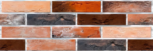 BRICART A20 1173 (30x90)