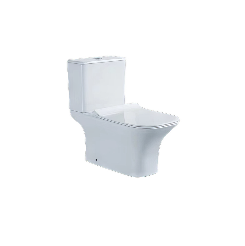 Toilet 2301C