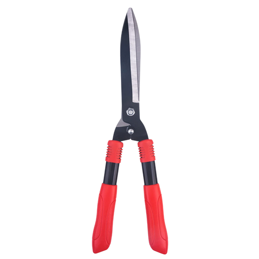 OT QAYÇISI BÖYÜK 34-31-298