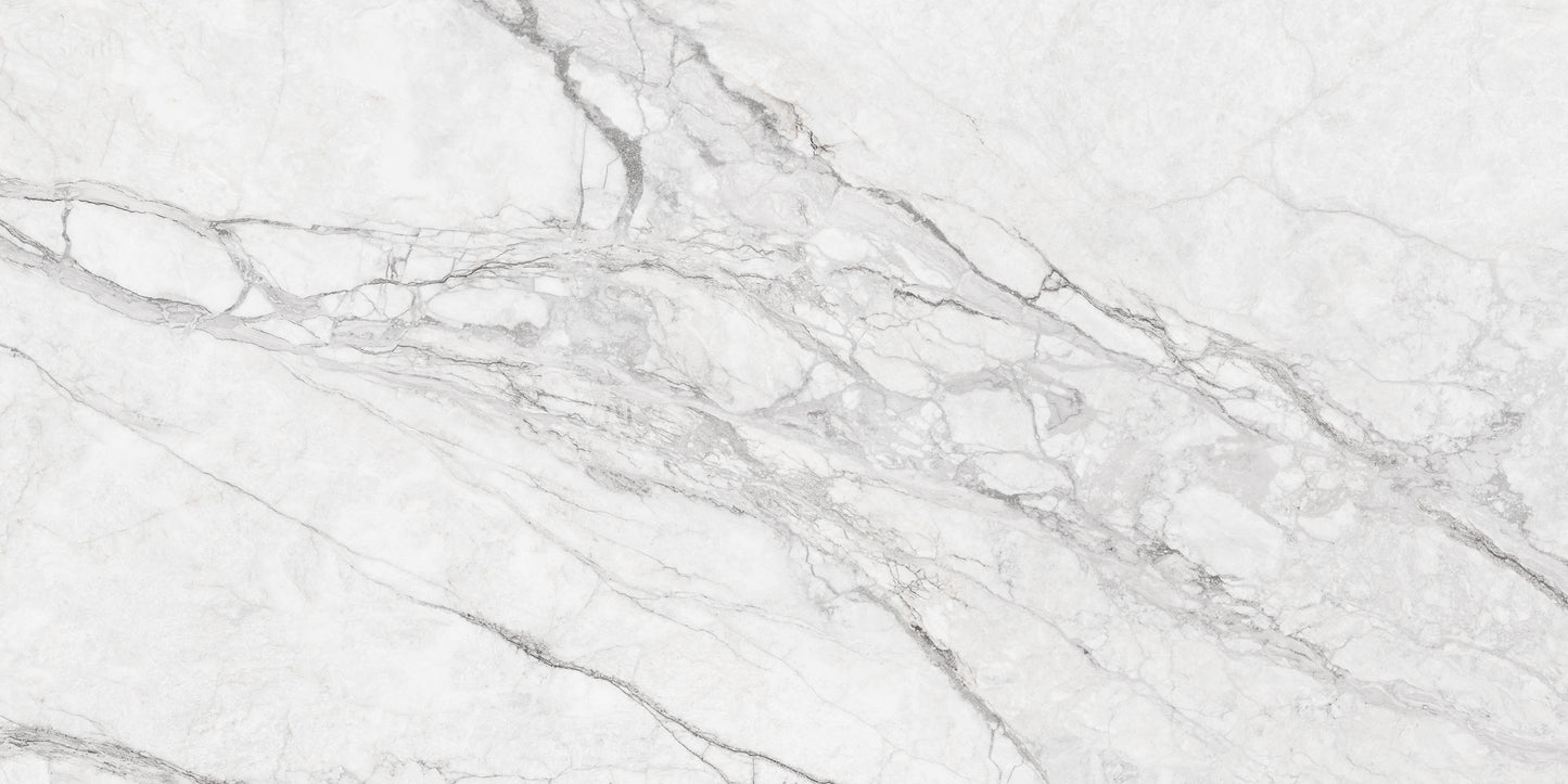 DELIGHT SILVER MATT CARVING