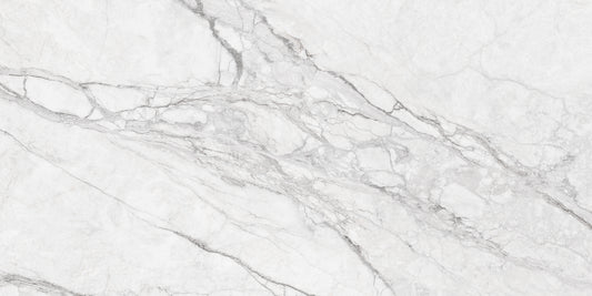 DELIGHT SILVER MATT CARVING