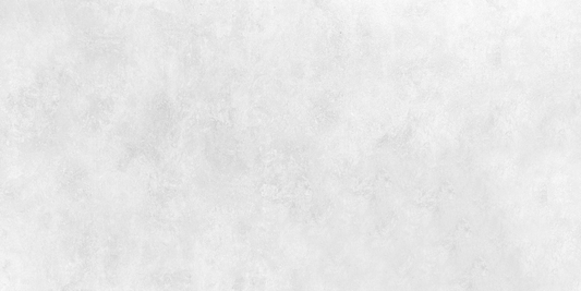 DONYA LIGHT GRAY MATTE (60x120)