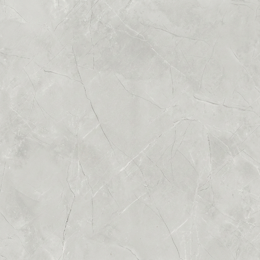 SHAHIN GRAY MATTE (60x60)