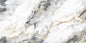 CAMEL SKY SILVER GLOSSY CARVING (60x120)