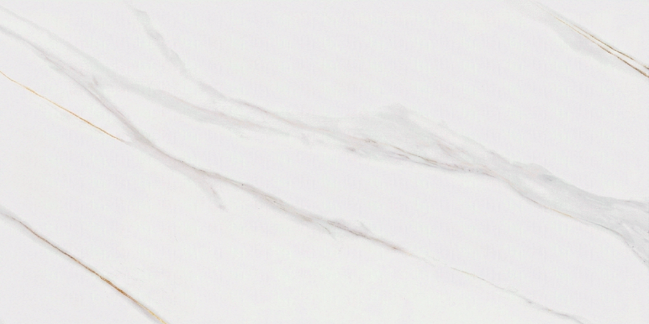 ZIBA GOLD MATTE (60x120)