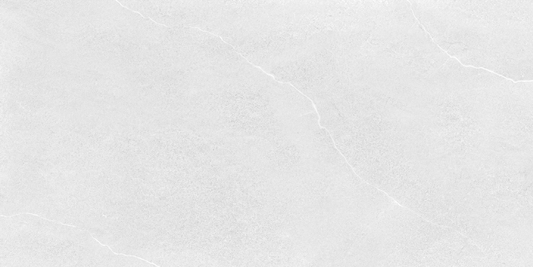 SHINE LIGHT GRAY MATTE (60x120)