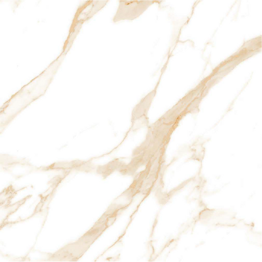 VHP600802 (60x60)