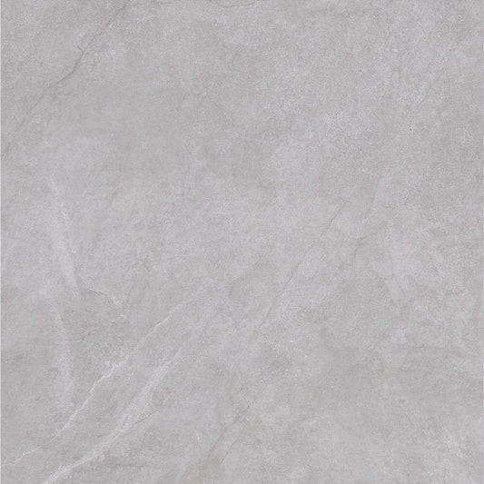 Toledo light gray (60x60) (Kopya)