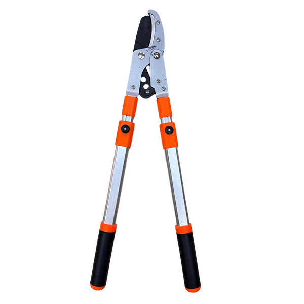 BUDAQ KƏSƏN QAYÇI -100 (Q-12)