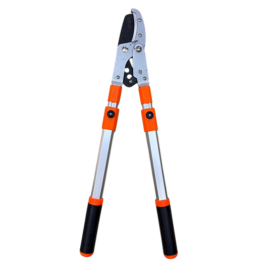 BUDAQ KƏSƏN QAYÇI -100